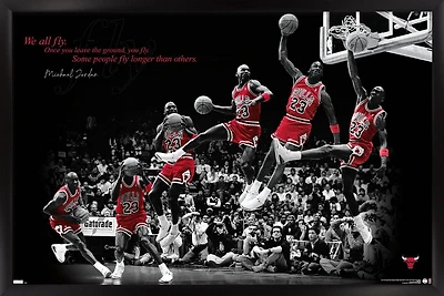 Michael Jordan - Voler