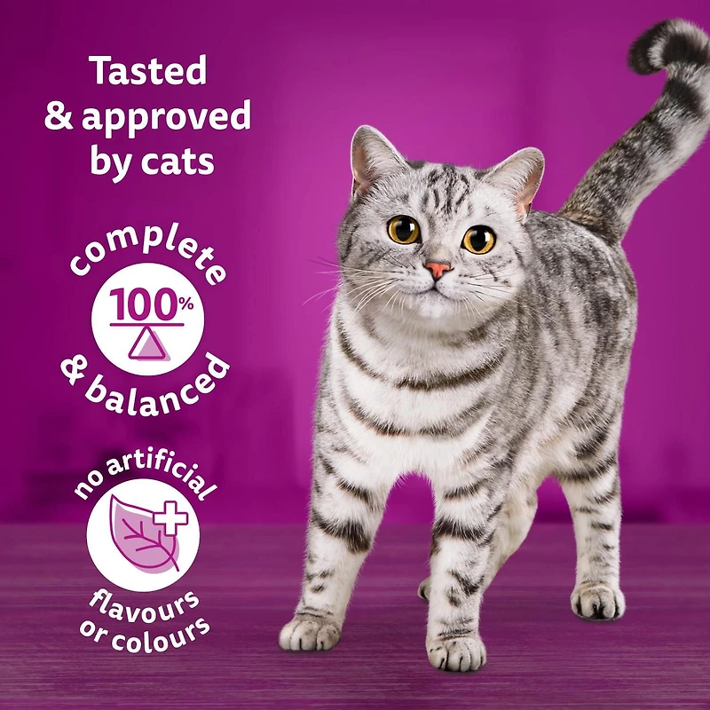 WHISKAS Adult Dry Cat Food Seafood Selections, Natural Salmon & Shrimp Flavour 9.1kg
