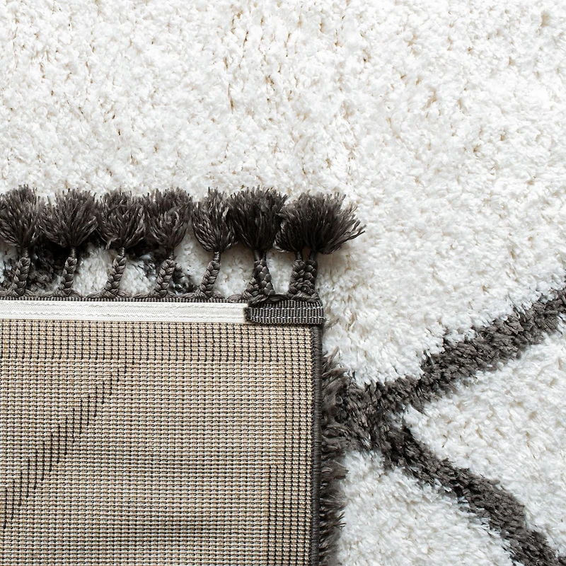 Safavieh Carmella Chase Aztec Fringe Shag Area Rug