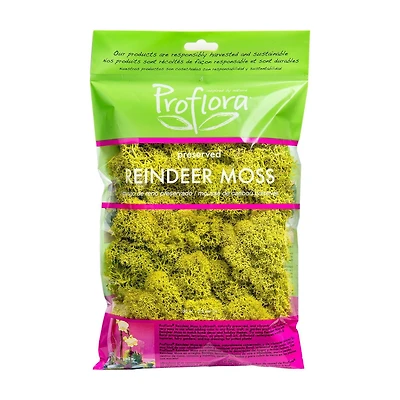 REINDEER MOSS CH 2OZ