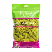 REINDEER MOSS CH 2OZ