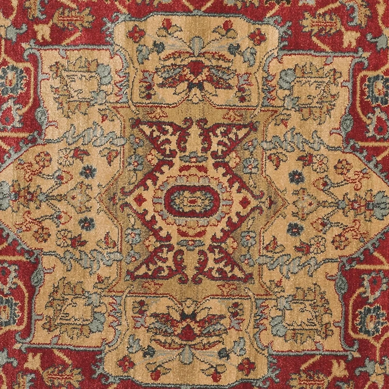 Safavieh Mahal Trecia Tapis Traditionnel