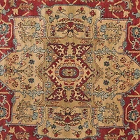 Safavieh Mahal Trecia Tapis Traditionnel