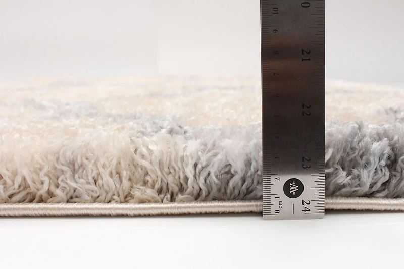 ECARPET Trellis Frieze Area Rug Fluffy Carpet for Bedroom