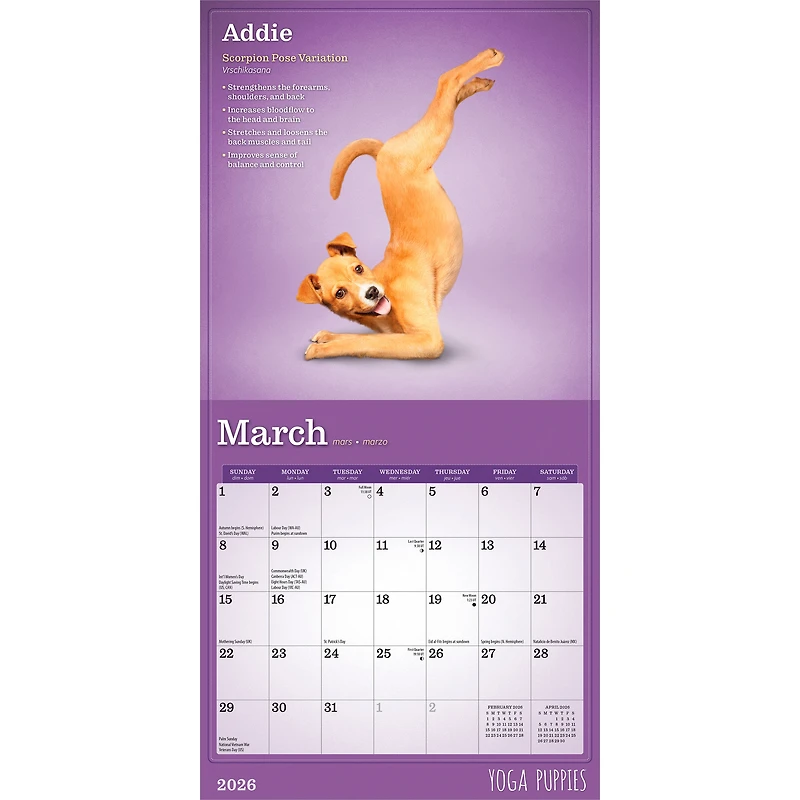 Yoga Puppies 2026 Mini 7x7