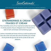 ScentSationals Scented Wax Cubes - Strawberries & Cream