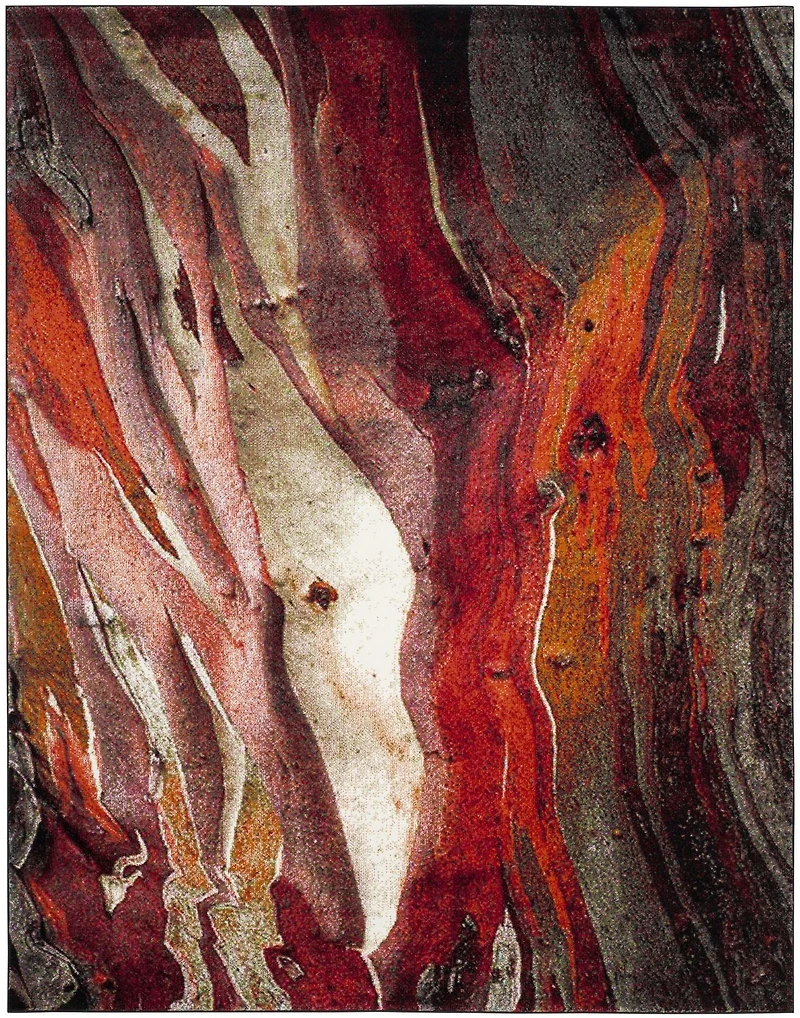 SAFAVIEH Glacier Aleesha Abstract Area Rug