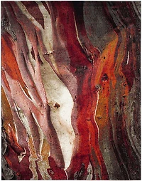 SAFAVIEH Glacier Aleesha Abstract Area Rug