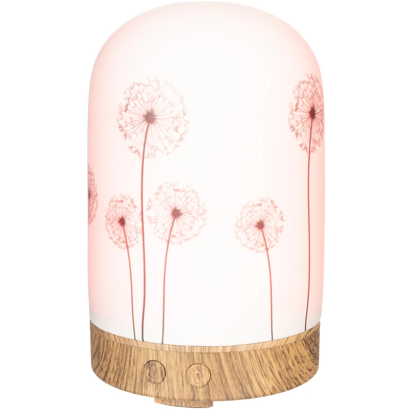 ScentSationals Diffuser, Wish 100 mL