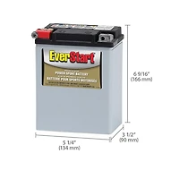 EverStart Powersport Prem ES-TX14AH, 12 Volt, Power Sports Battery, 220 CCA