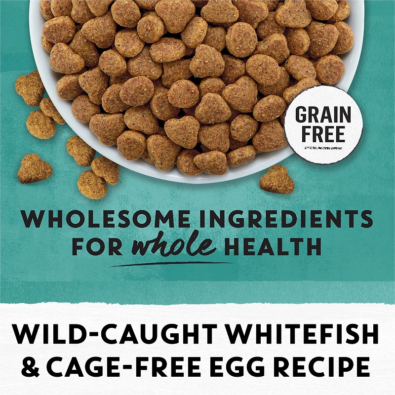 Beyond Grain Free Wild-Caught Whitefish & Free Run Egg Recipe, Dry Cat Food 1.36kg