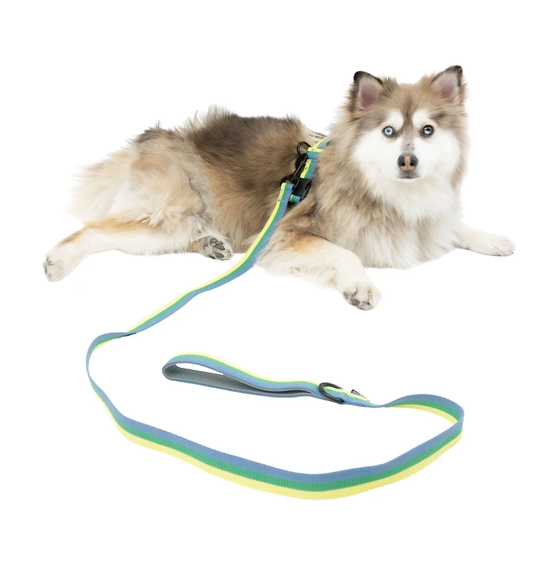 One Paw , Ensemble Harnais et Laisse pour Chien Lot de 3 avec Porte-Sacs à Excréments, Tailles Multiples, Bleu, Chiens