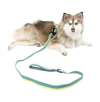 One Paw , Ensemble Harnais et Laisse pour Chien Lot de 3 avec Porte-Sacs à Excréments, Tailles Multiples, Bleu, Chiens