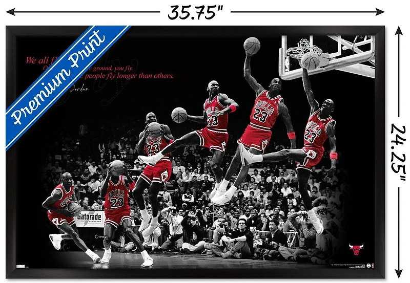 Michael Jordan - Fly Wall Poster, 22.375" x 34" Framed