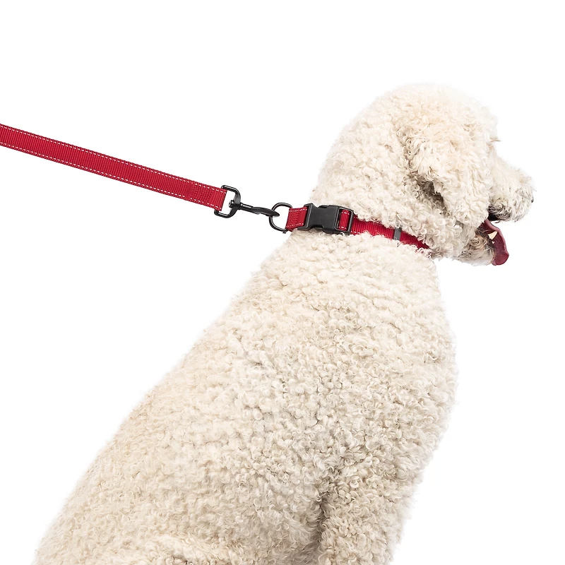 One Paw, Webbing Collar for Dogs