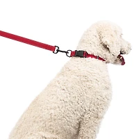 One Paw, Webbing Collar for Dogs