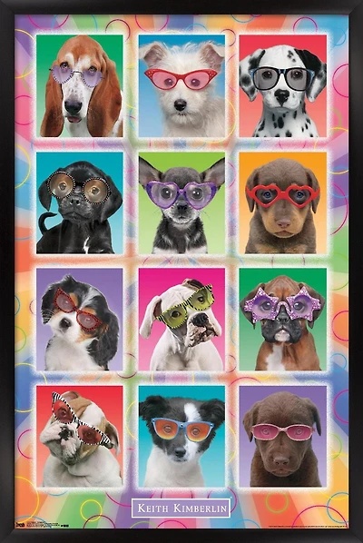 Keith Kimberlin - Puppies - Sunglasses Wall Poster, 22.375" x 34"