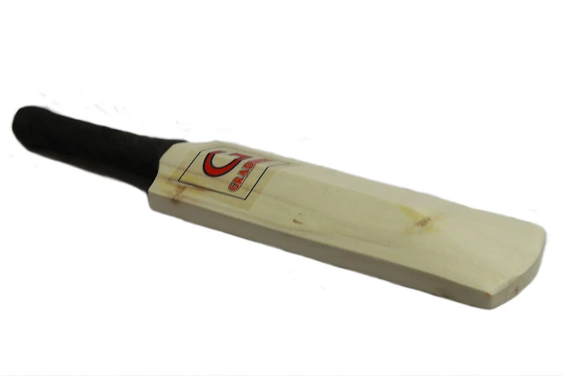 Batte de cricket miniature de Graddige
