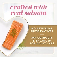 Fancy Feast Gems Mousse Paté with Salmon, Wet Cat Food, 57 g x 2