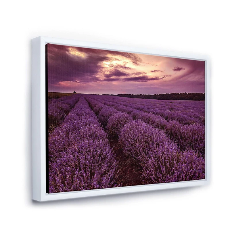 Designart Sunrise & Dramatic Clouds Over Lavender Field III FLOAT FRAME WALL ART