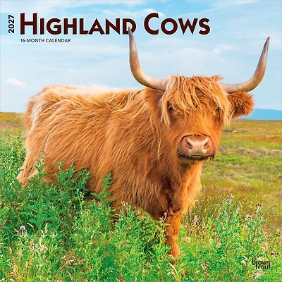 Highland Cows 2027 Square