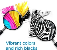 HP 65XL Black High Yield Original Ink Cartridge (N9K04AN)