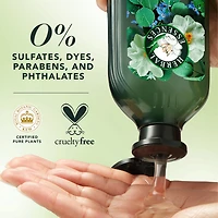 Herbal Essences Scalp + Purify Shampoo, Cleanses The Scalp for Soft Hair, Eucalyptus, Sulfate-Free, 400 mL