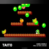 EVERCADE CARTRIDGE – TAITO ARCADE 1
