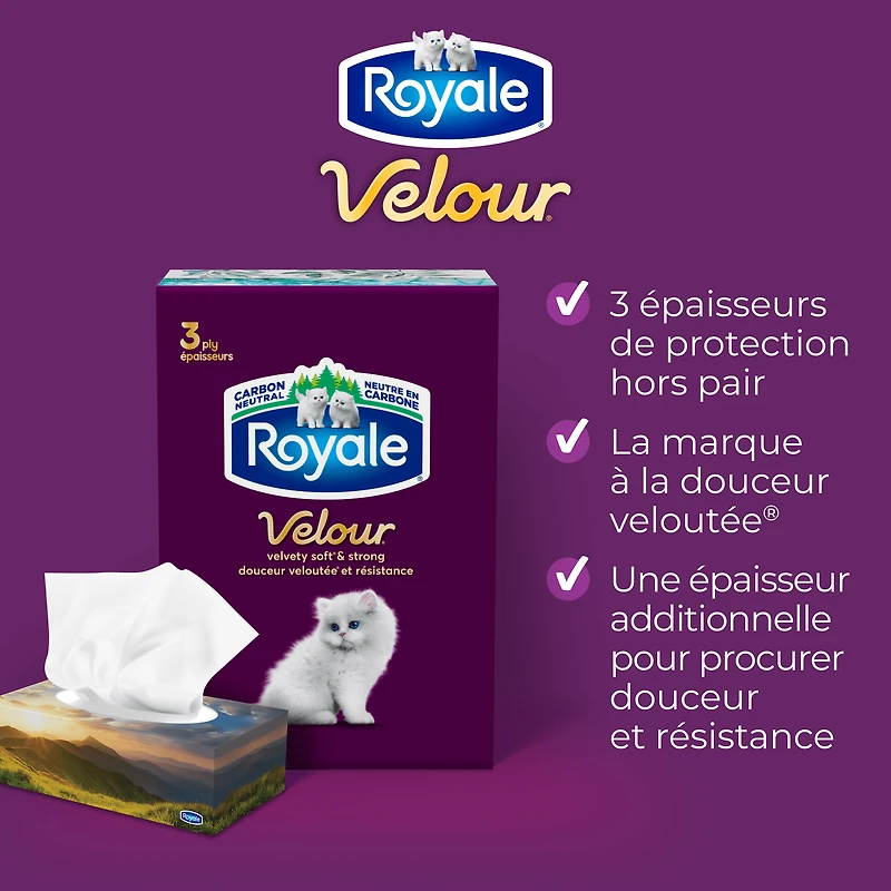 Royale Velour, 3 Ply Facial Tissue, 18 Flat Boxes, 82 Tissues per Box