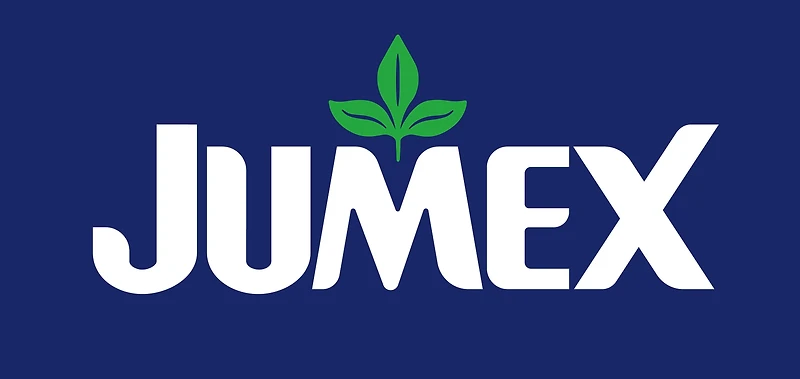 JUMEX NECTAR de Mangue Verre
