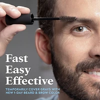 Just for Men Couleur 1 Jour pour Barbe et Sourcils