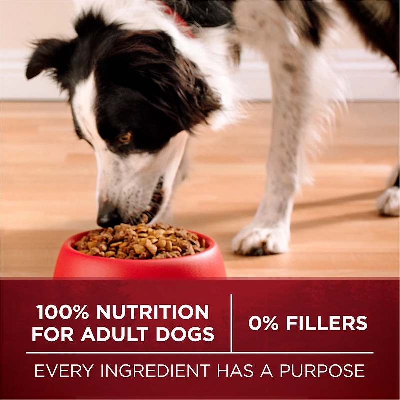 Purina ONE True Instinct Turkey & Venison, Dry Dog Food 6.8kg