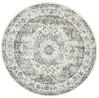 SAFAVIEH Evoke Teale Traditional Area Rug