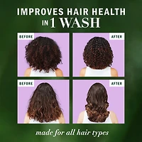 Herbal Essences Full + Thick Passionflower Sulfate Free Shampoo, 400ml