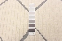 ECARPET Indoor/Outdoor for Balcony, Patio and Garden Raya Ivory Rug