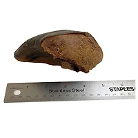 Rollover Beef Stuffed Hooves