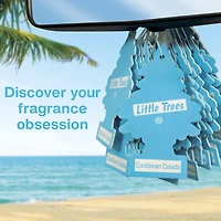 Assainisseur d'air LITTLE TREES True North 6-Pack