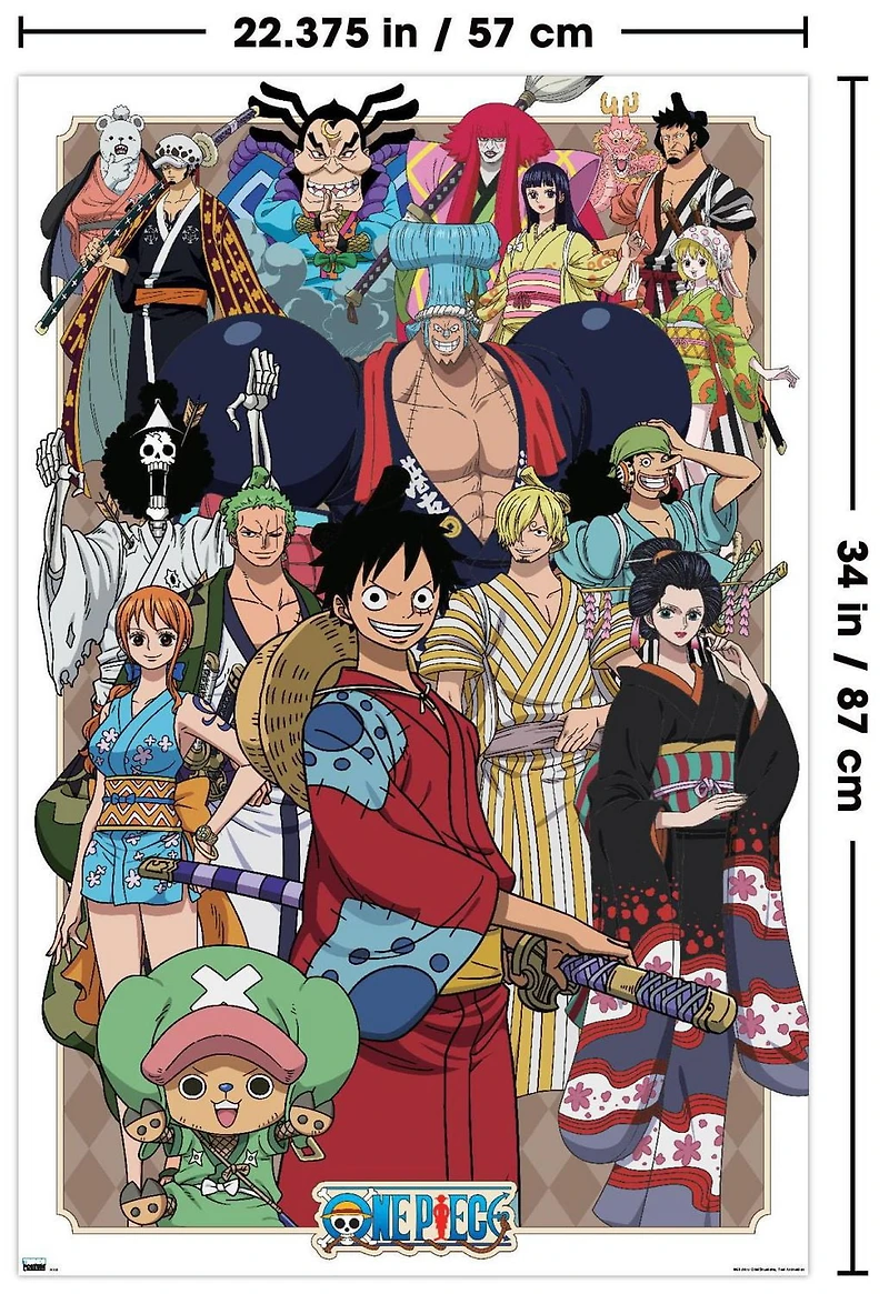 One Piece - Alliance Wall Poster, 22.375" x 34"