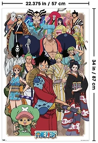 One Piece - Alliance Wall Poster, 22.375" x 34"