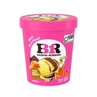 BASKIN ROBBINS Gold Medal Ribbon Ice Cream, Chocolate & Vanilla Ice Creams, Caramel Ribbon, 946 ml