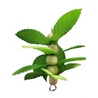 Prevue Sprouts Berries Wooden Bird Toy