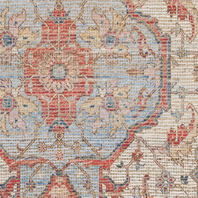 Safavieh Saffron Ira Floral Bordered Area Rug