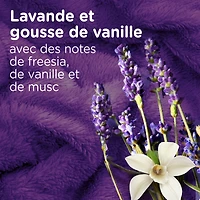 Downy CALM, Mega Dryer Sheets, Laundry Fabric Softener, Lavender and Vanilla Bean 120CT