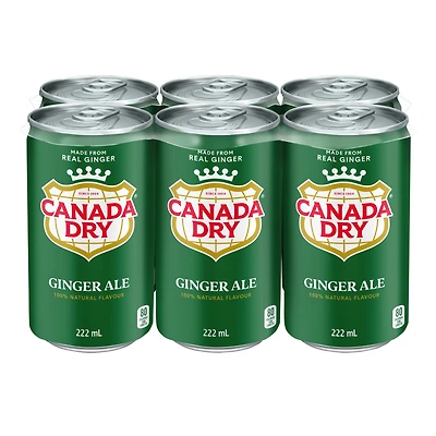 Soda gingembre Canada DryMD - Emballage de 6 mini-canettes de 222 mL