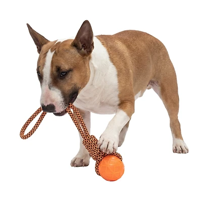 One Paw, Tug Rope & Ball Dog Toy, Tug of War, Orange, for Dogs