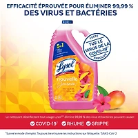 Lysol® Multi-Surface Cleaner, Pourable Disinfecting All-Purpose Cleaner for Floor & Hard Surfaces, Cuts Grease & Grime, Brand New Day ™ Mango & Hibiscus, 4.26 L