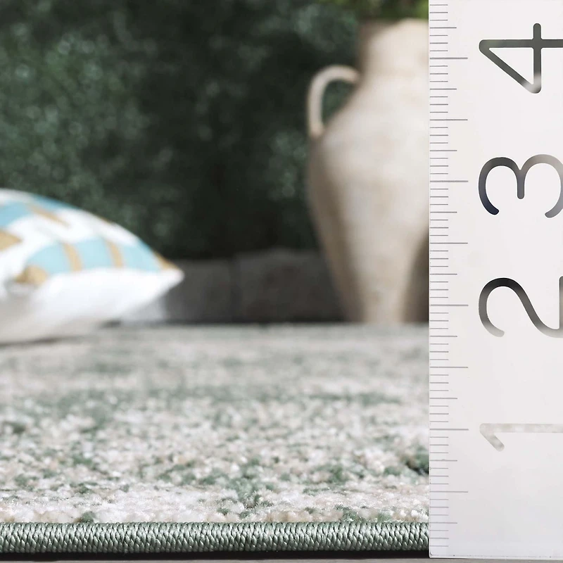 SAFAVIEH Cabana Selma Distressed Indoor/Outdoor Area Rug