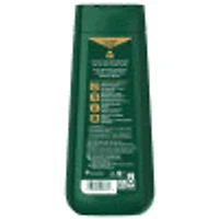 Irish Spring Active Scrub Exfoliating Body Wash for Men, 591 mL Bottle