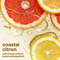 Method Super Shine Dish Soap Coastal Citron