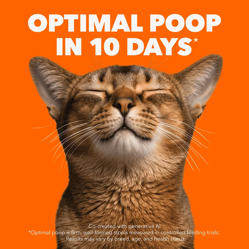 Iams Proactive Health Adult Urinary Tract Care Dry Cat Food with Chicken 1.6kg